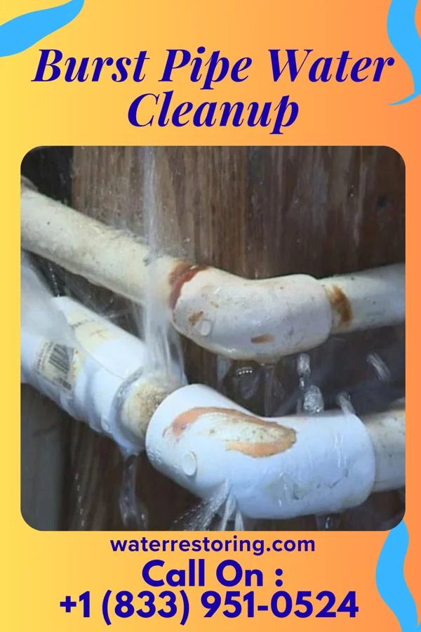 Burst Pipe Water Cleanup in Millersville, PA