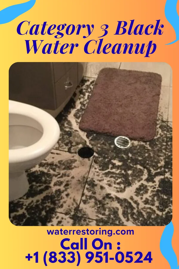 Category 3 Black Water Cleanup in Millersville, PA